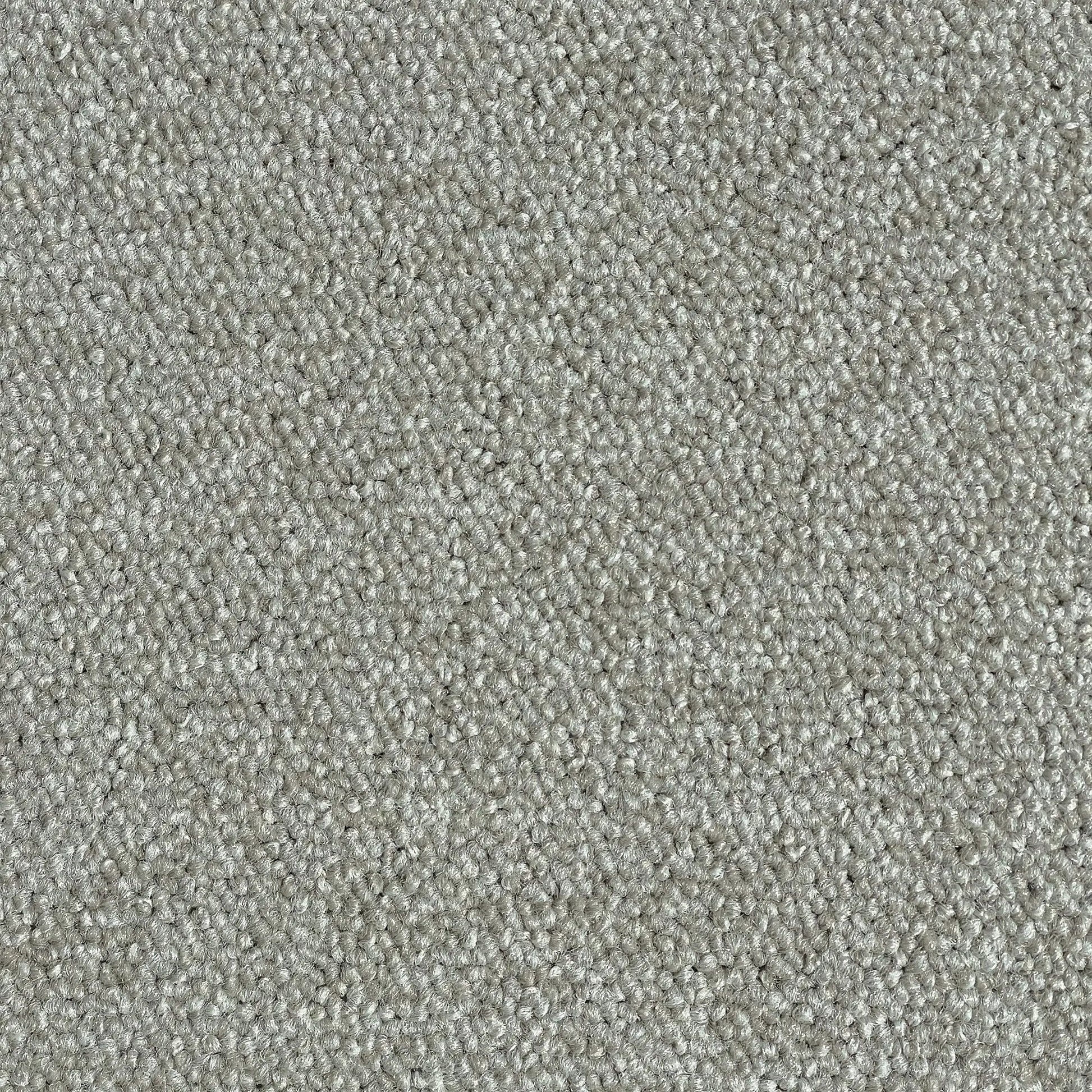 Boring Carpet (5m2) Siersema