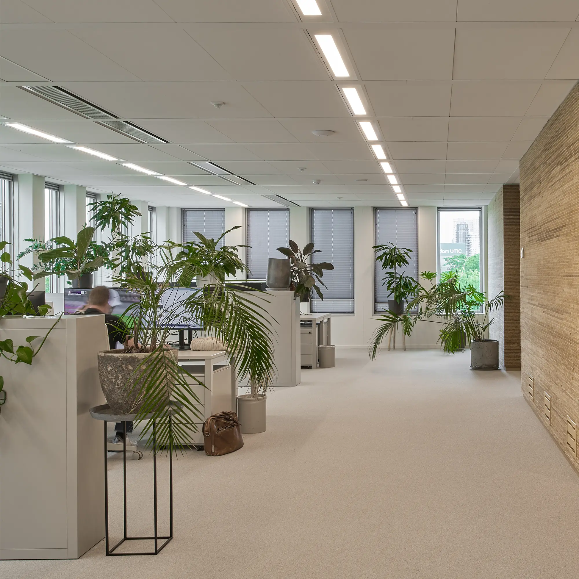 Boring Carpet (5m2) Siersema